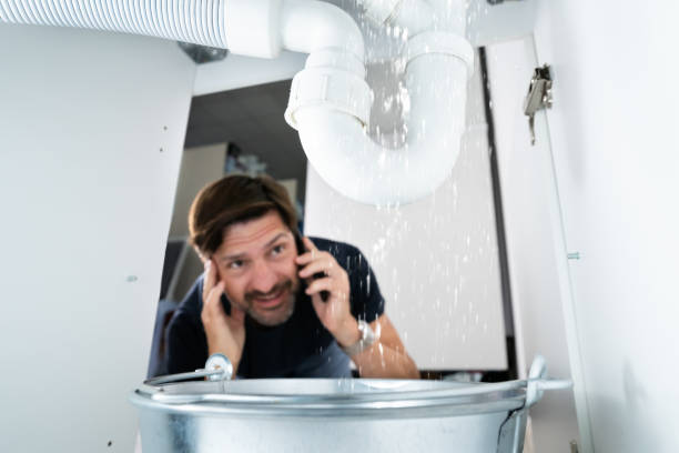 Best Faucet Repair  in Algoma, WI